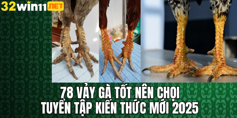 78 vảy gà tốt nên chọi 32win