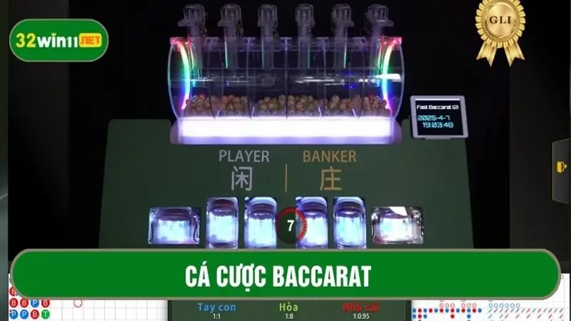 Cá cược baccarat