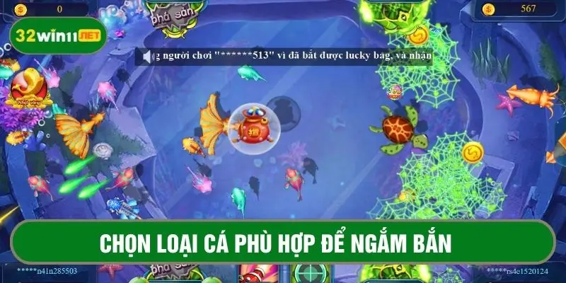 Mẹo chơi bắn cá hiệu quả là biết chọn loại cá phù hợp để ngắm bắn 