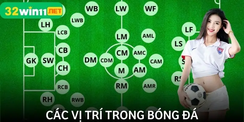 Các Vị Trí Trong Bóng Đá
