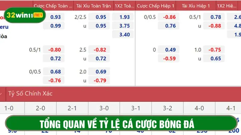Tỷ lệ cá cược bóng đá​ do nhà cái cung cấp 