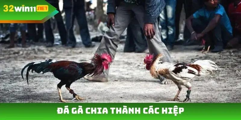 Đá gà chia thành các hiệp